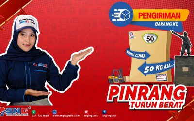 Ekspedisi Jakarta Pinrang Terpercaya